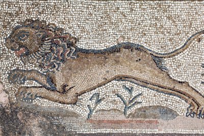 Un lion - Détail d