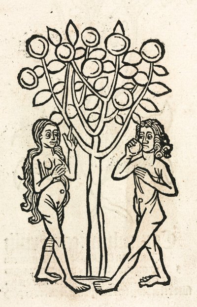 Adam et Ève sous l