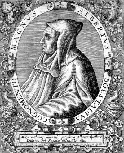Albert Magnus (1193/1206-1280) moine dominicain allemand, scientifique, philosophe et théologien, gravure - Unbekannter Künstler