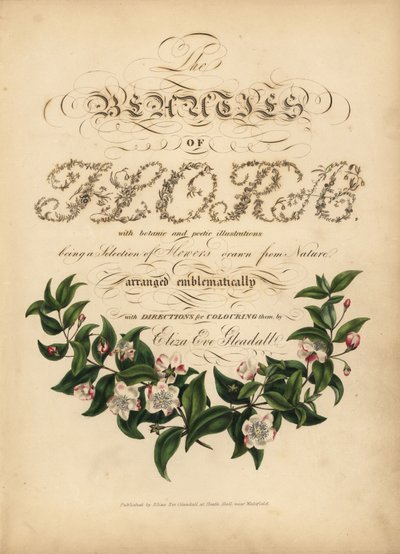 Page de titre calligraphique avec vignette botanique - Unbekannt