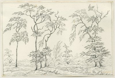 Cannock Chase: dessin à la plume et au crayon, nd [?19ème siècle] - Unbekannt