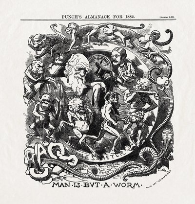 Caricature sur la théorie de l
