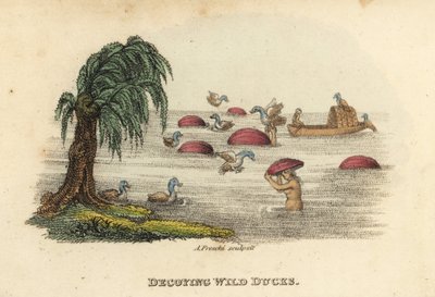Chinois chassant des canards sauvages avec des chapeaux leurres dans la rivière, dynastie Qing - Unbekannter Künstler