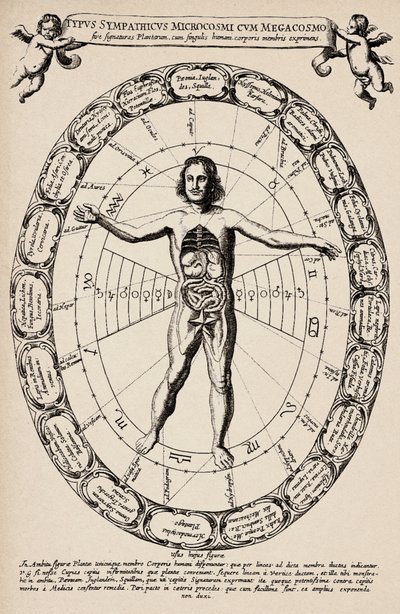 Correspondance entre microcosme et macrocosme. Planche tirée de « Mundus subterraneus » par Athanase Kircher (1601-1680) - Unbekannter Künstler
