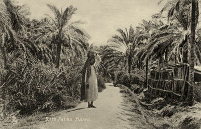 Palmiers dattiers, Bassora - Unbekannter Künstler