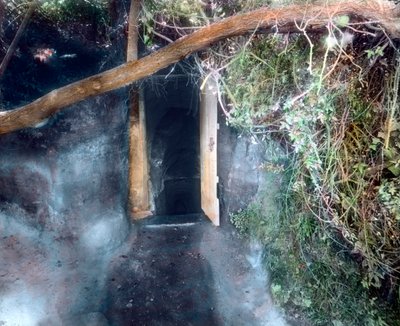 Grotte des chiens près de Naples - les chiens s