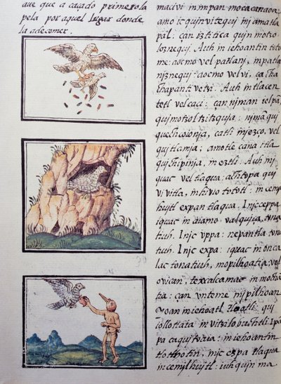 Aigles, page du Codex florentin, version bilingue en espagnol et nahuatl, Histoire générale des choses de la Nouvelle-Espagne, par le missionnaire espagnol Fray Bernardino de Sahagun. Civilisation aztèque - William M. Timlin