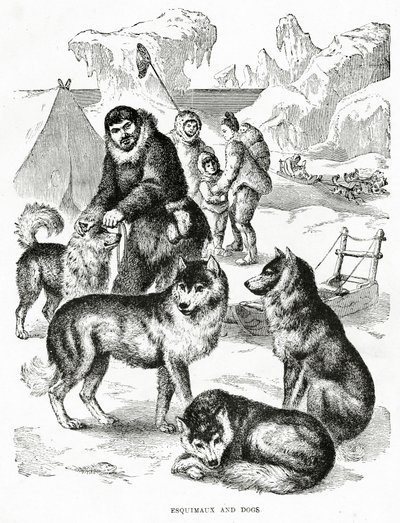 Esquimaux et chiens. 1902 (lithographie) - Unbekannt