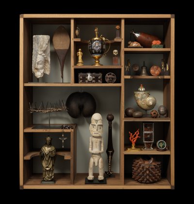 Le Cabinet de Curiosités de Finch et Co - Unbekannter Künstler