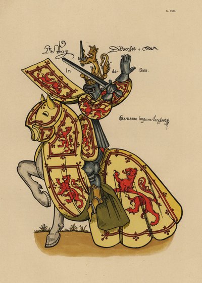 Roi d