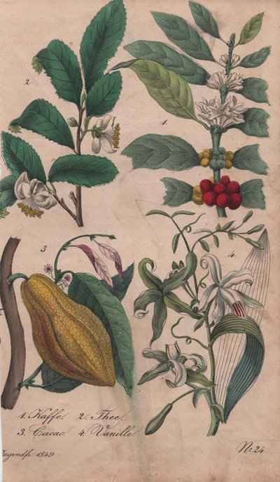 Produits de luxe - Unbekannter Künstler