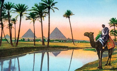 Homme sur un chameau regardant les pyramides de Gizeh, vers 1900 - Unbekannter Künstler