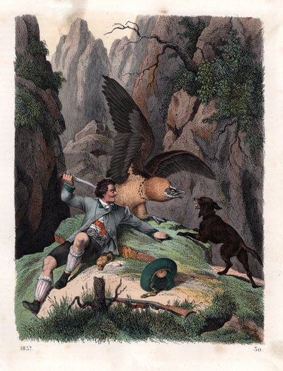 Mathias Sturz combattant un vautour barbu avec un couteau - Unbekannter Künstler