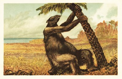 Megatherium americanum tirant sur un palmier - Unbekannter Künstler