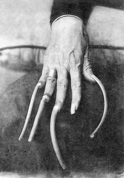 Particularité monstrueuse : une main avec des ongles très longs. Chine vers 1910. Photo historique, ongles longs, Chine, vers 1910. - Unbekannter Künstler