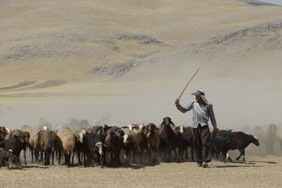 Tentes Nomades entre Tamar et Ashkhaneh, Iran 2022 - Unbekannter Künstler