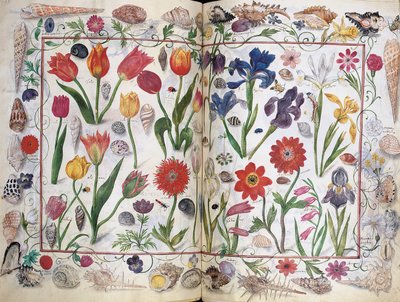 Pages de l