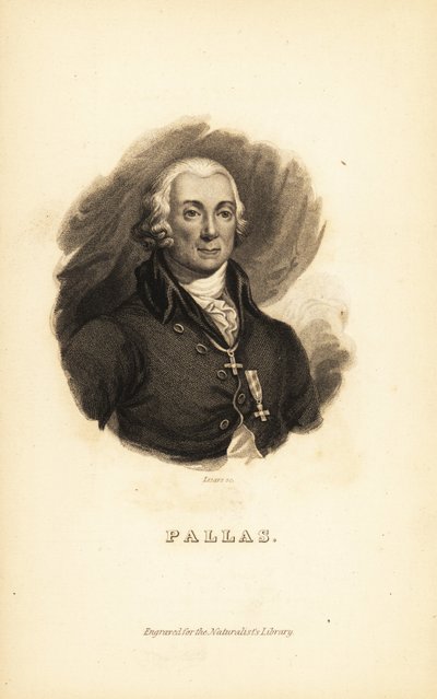 Peter Simon Pallas, explorateur, zoologiste et botaniste allemand - Unbekannt