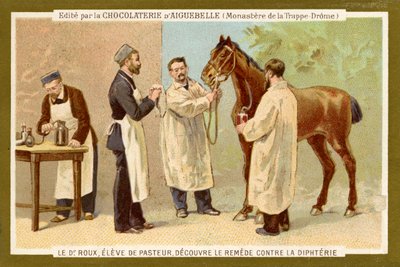 Pierre Paul Émile Roux - Unbekannter Künstler