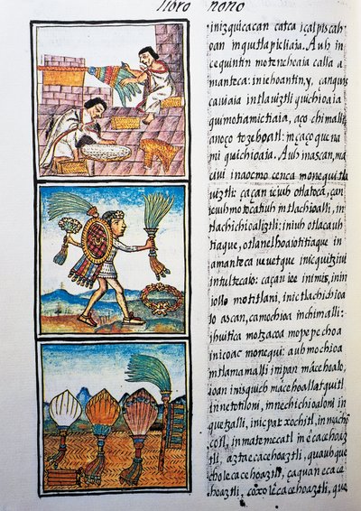 Traitement des plumes, texte en nahuatl, fac-similé du Codex Florentin - William M. Timlin