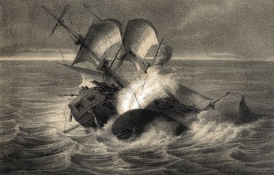 Naufrage du baleinier « Essex » le 20 novembre - Unbekannter Künstler