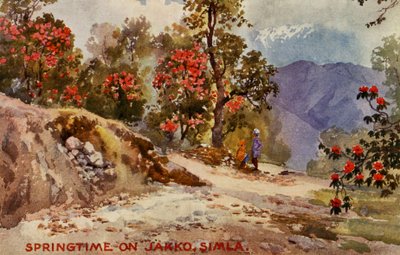 Printemps sur Jahko, Simla, Inde - Unbekannter Künstler