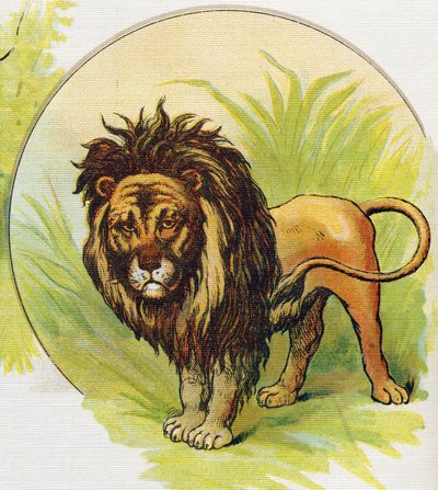 Le lion. Gravure dans "ABC L