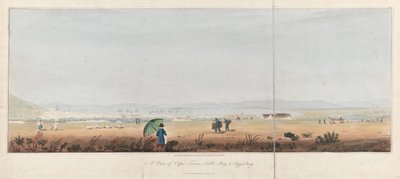 Vue de Cape Town, Table Bay et les collines de Tygerberg (Afrique du Sud). Lithographie (26,5x53,5 cm) de J.W. Burchell - Unbekannter Künstler