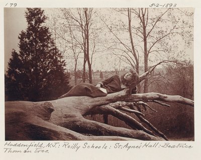 [Beatrice Thom sur un arbre, Haddonfield, New Jersey] - Unidentified