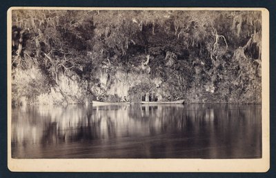 [Sous les falaises de la rivière Withlacoochee, Floride] - Unidentified