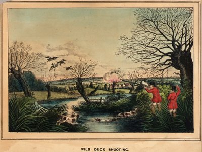 Chasse aux canards sauvages. Sur l