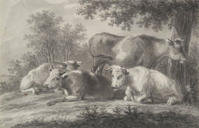 Vaches au repos - Unknown