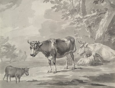 Vaches et moutons - Unknown