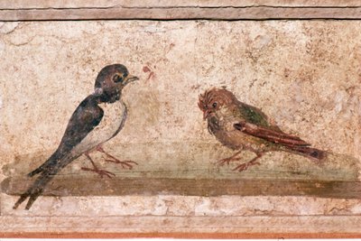 Hirondelle et moineau, peinture murale romaine de Boscoreale près de Pompéi, 1er siècle - Unknown