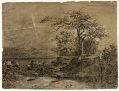 Paysage boisé avec vaches au premier plan - Unknown