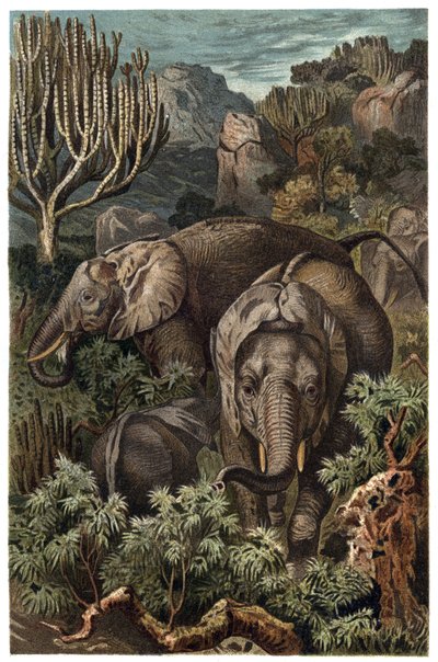 Éléphant d