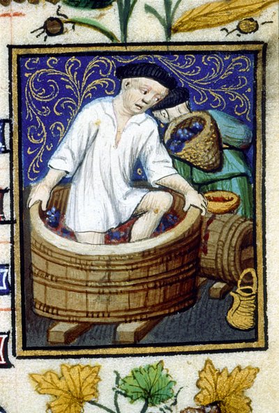 Représentation allégorique de septembre. Récolte, égrappage du raisin. Miniature d