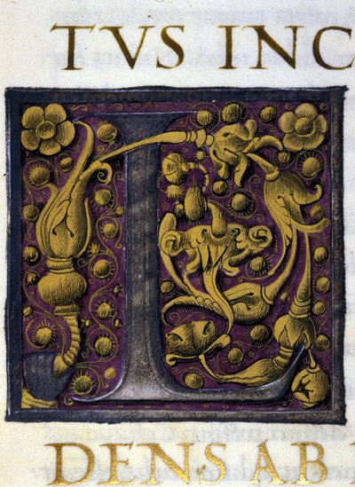 Alphabet : lettre L miniaturée - Unknown artist