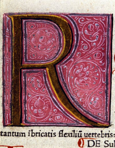 Alphabet : lettre miniaturée R - Unknown artist