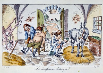 Transfusion sanguine. Un médecin injecte du sang de cheval à un patient. Caricature du XIXe siècle - Unknown artist