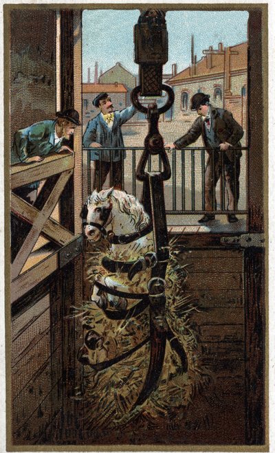 Chromolithographie de la fin du XIXe siècle - Unknown artist