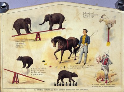 Cirque : une planche représentant différents types de spectacles d