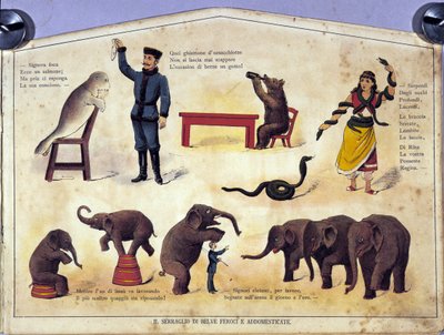 Cirque : une planche représentant différents types de spectacles d