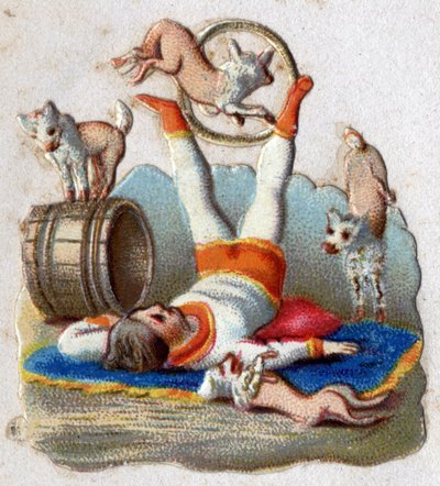 Cirque : un dompteur d