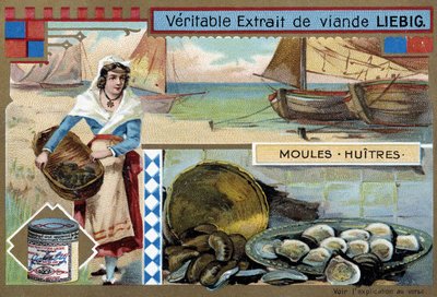 Collection de moules et d