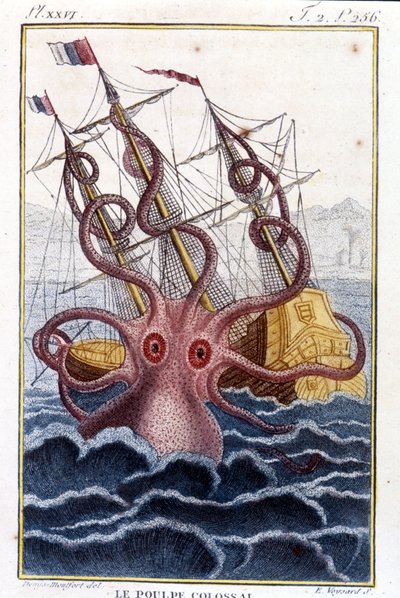 Poulpe colossal attaquant un navire - gravure du livre de Pierre Denys-Montfort « Histoire naturelle des mollusques », édition originale de 1802 - Unknown artist