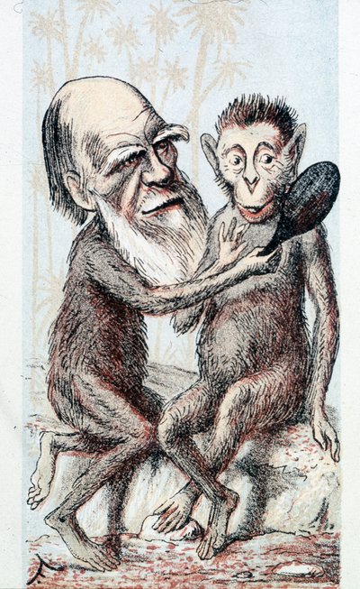 Dessin humoristique sur la théorie de Darwin - dans London Sketchbook - Unknown artist