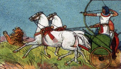 Vie quotidienne dans l