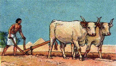 Vie quotidienne dans l