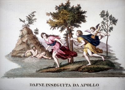 Daphné poursuivie par Apollon - dans Dizionario mitologico - Unknown artist